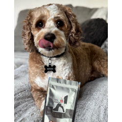 Treat-Meat Treat Original